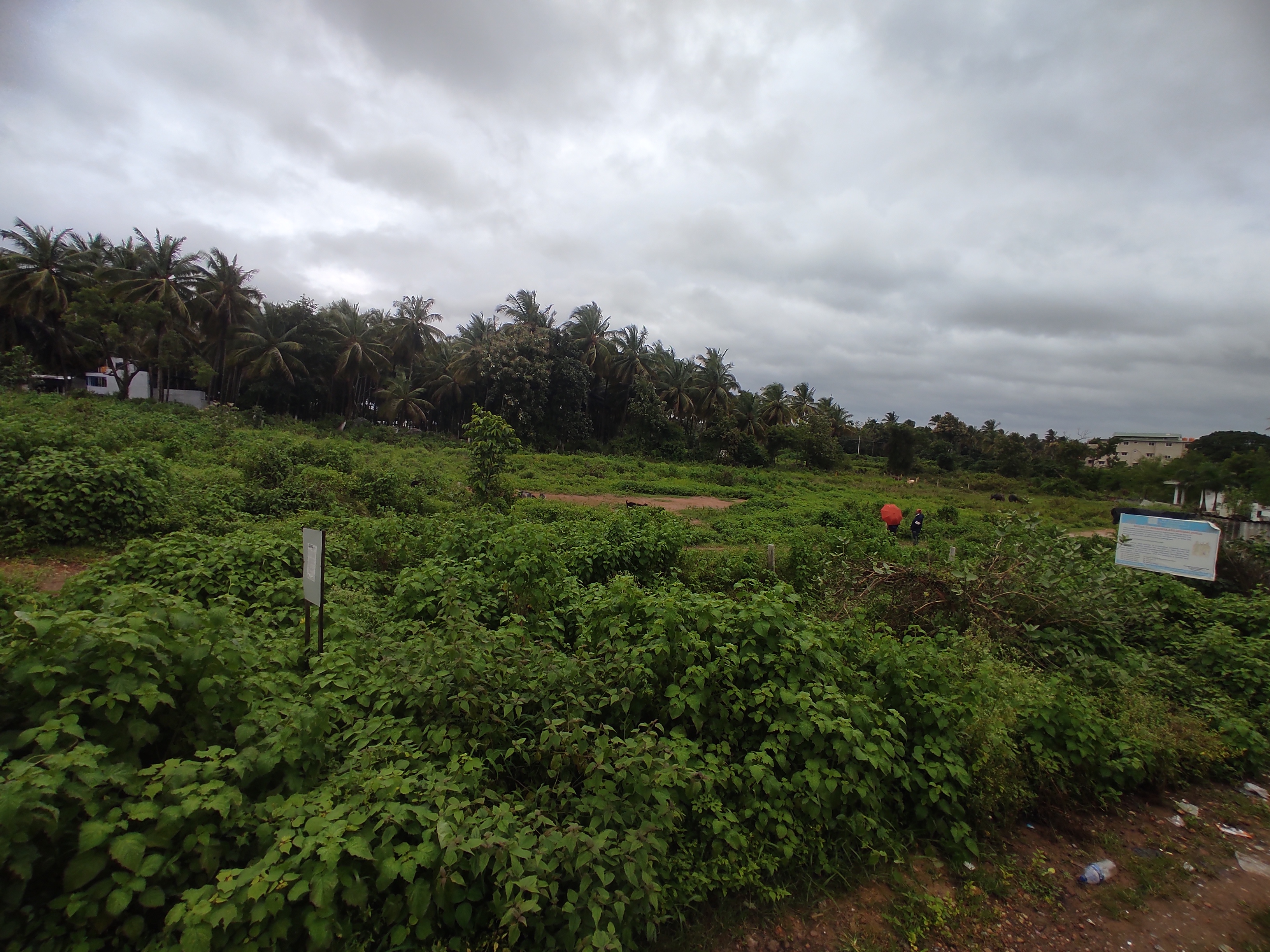 2177.77 square feet Plot for sale in Shivamogga — photo 3