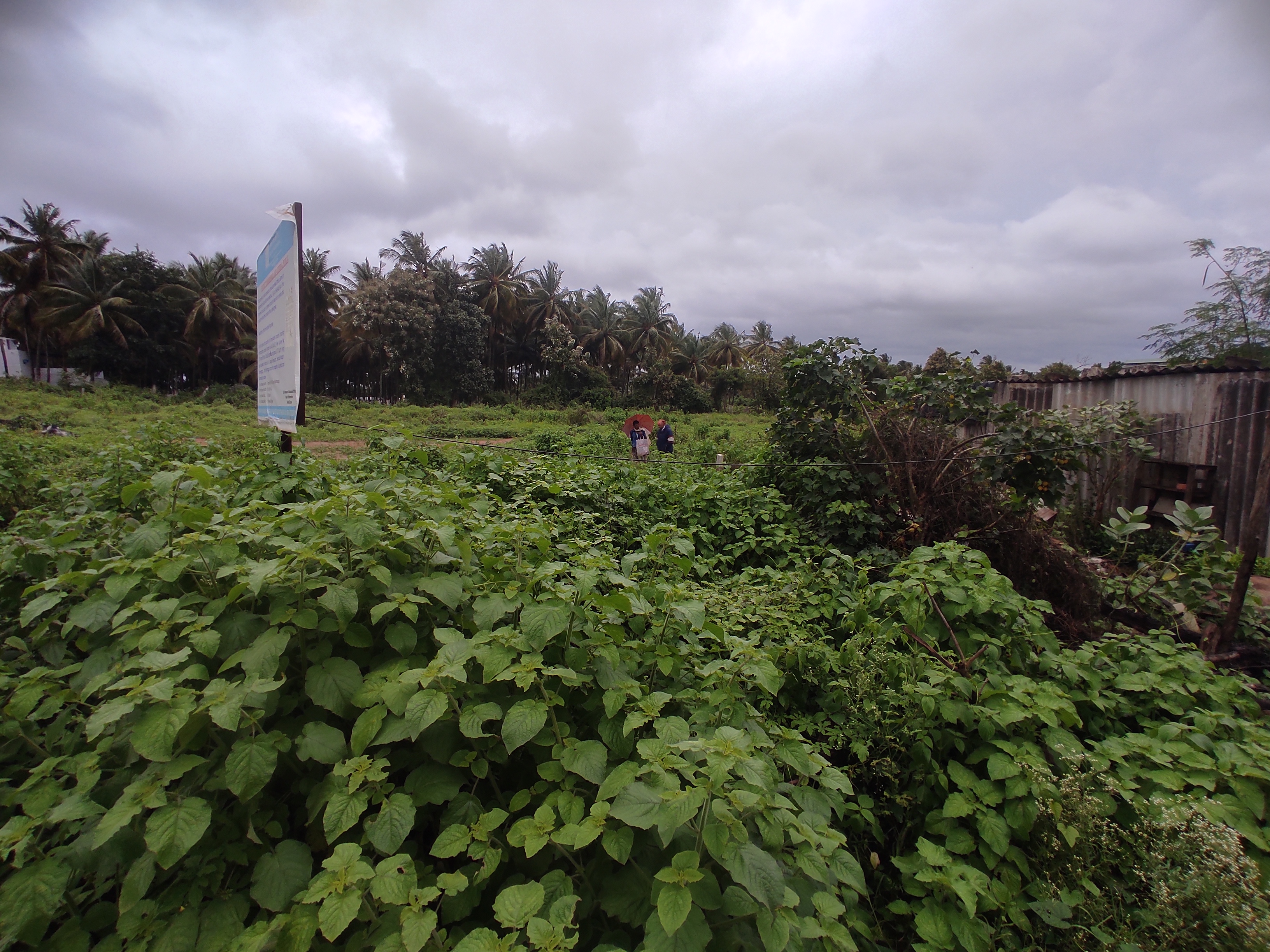 2177.77 square feet Plot for sale in Shivamogga — photo 8