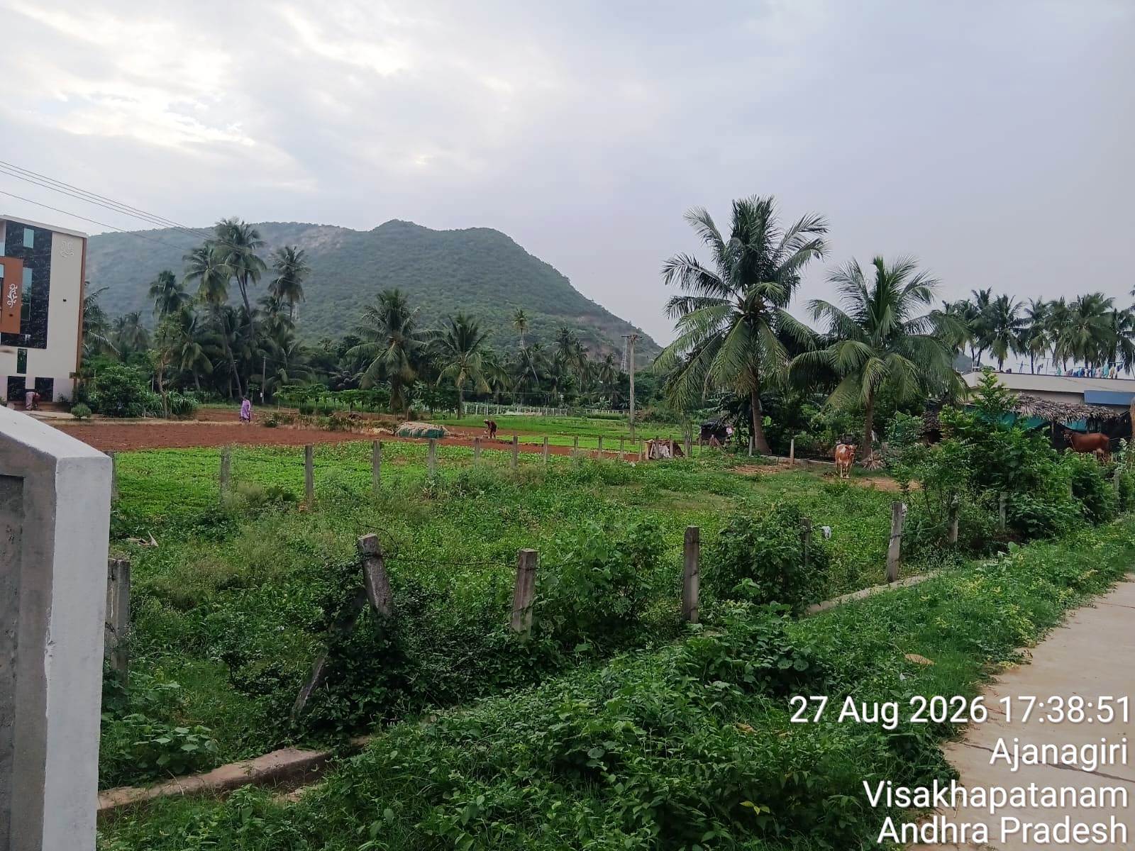 482.21 square yard Plot for sale in vacant Land, Ajanagiri,Syam way Pharmacity colony,Marripalem,Visakhapatnam Visakhapatnam