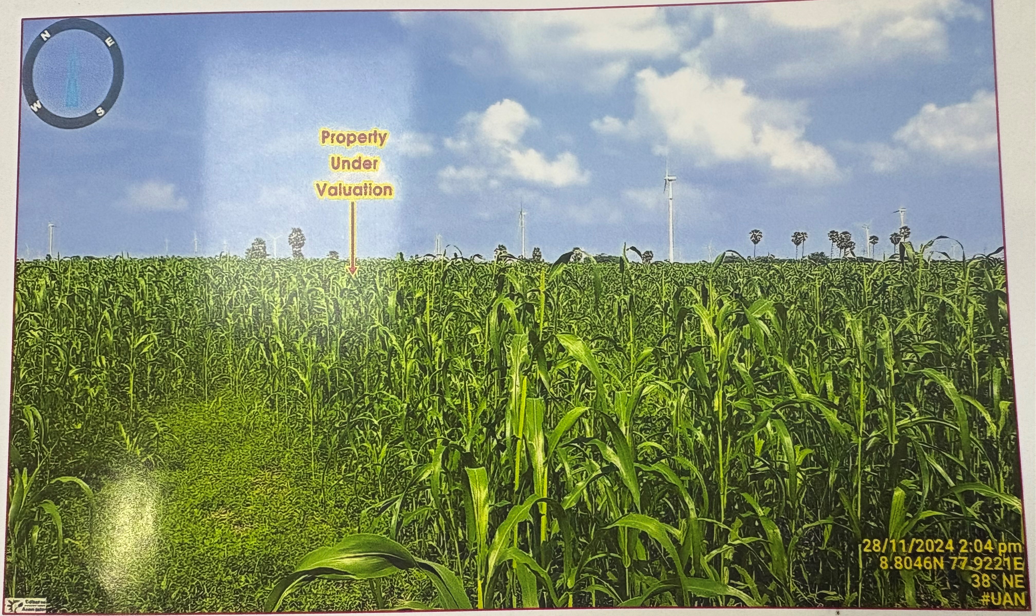 Plot for sale in Sekkarakudi Village Thoothukudi