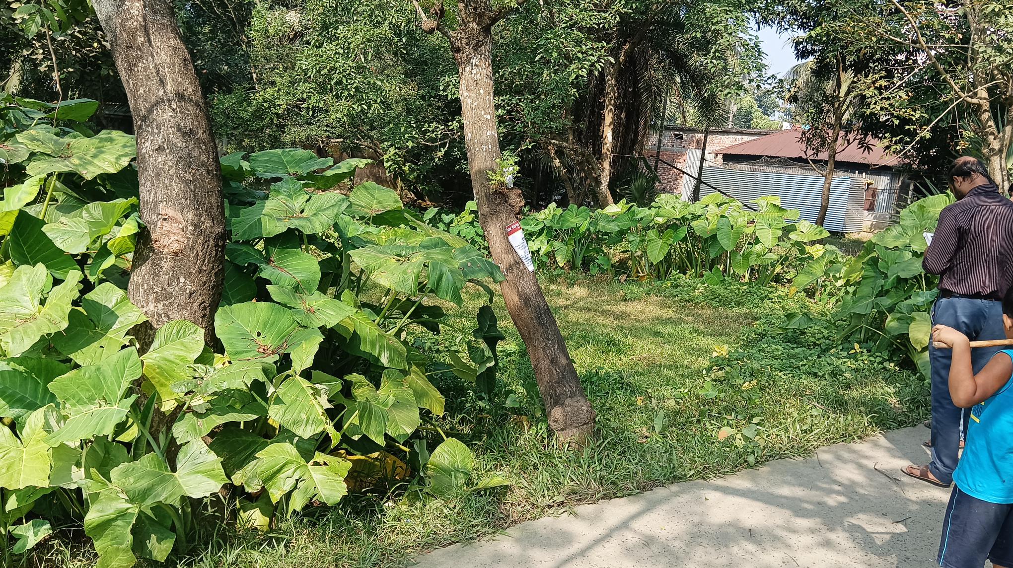 2616 square feet Plot for sale in Bandhail — photo 2