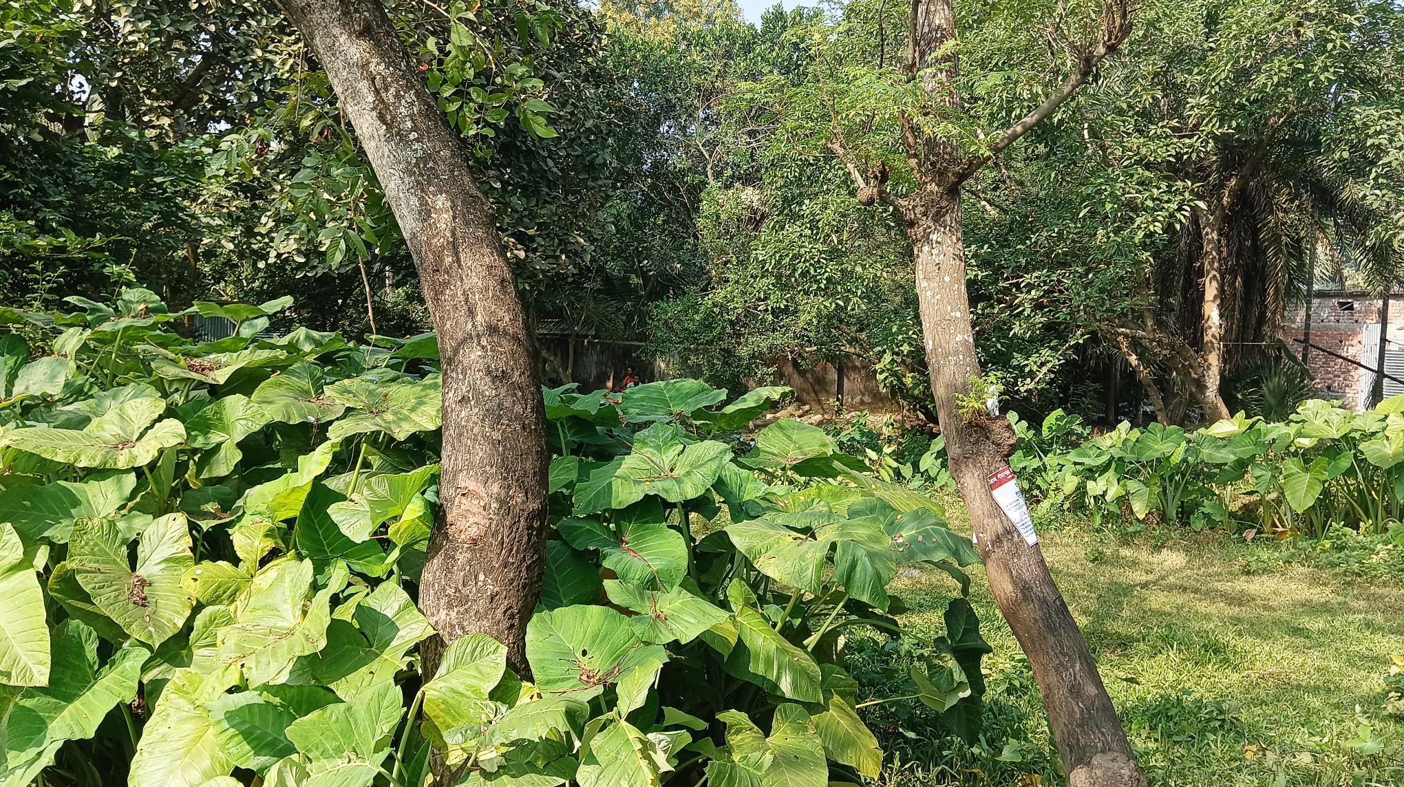 2616 square feet Plot for sale in Bandhail