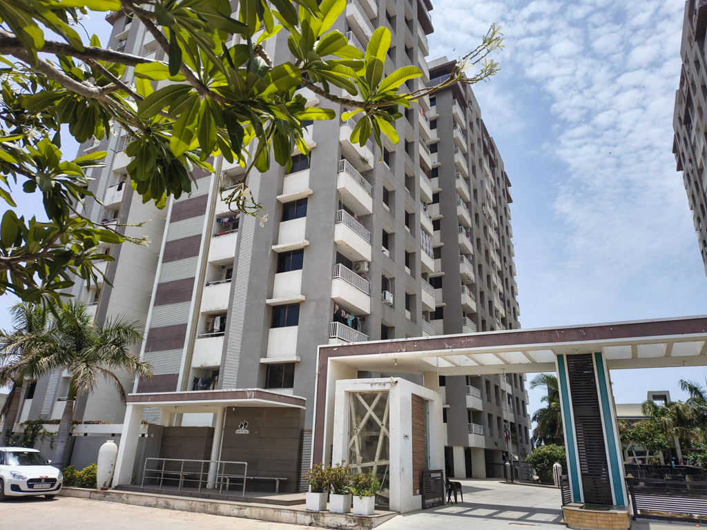 Flat for sale in Paddhari