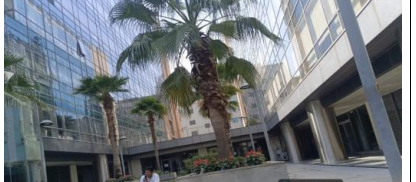 6754 square feet Shops for sale in Gurugram Bhondsi — photo 4