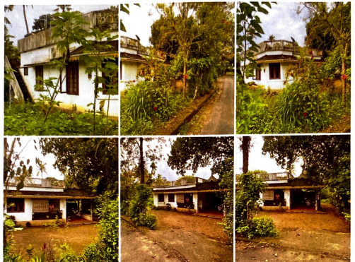 92.93 square meter Individual House for sale in Chalakudy