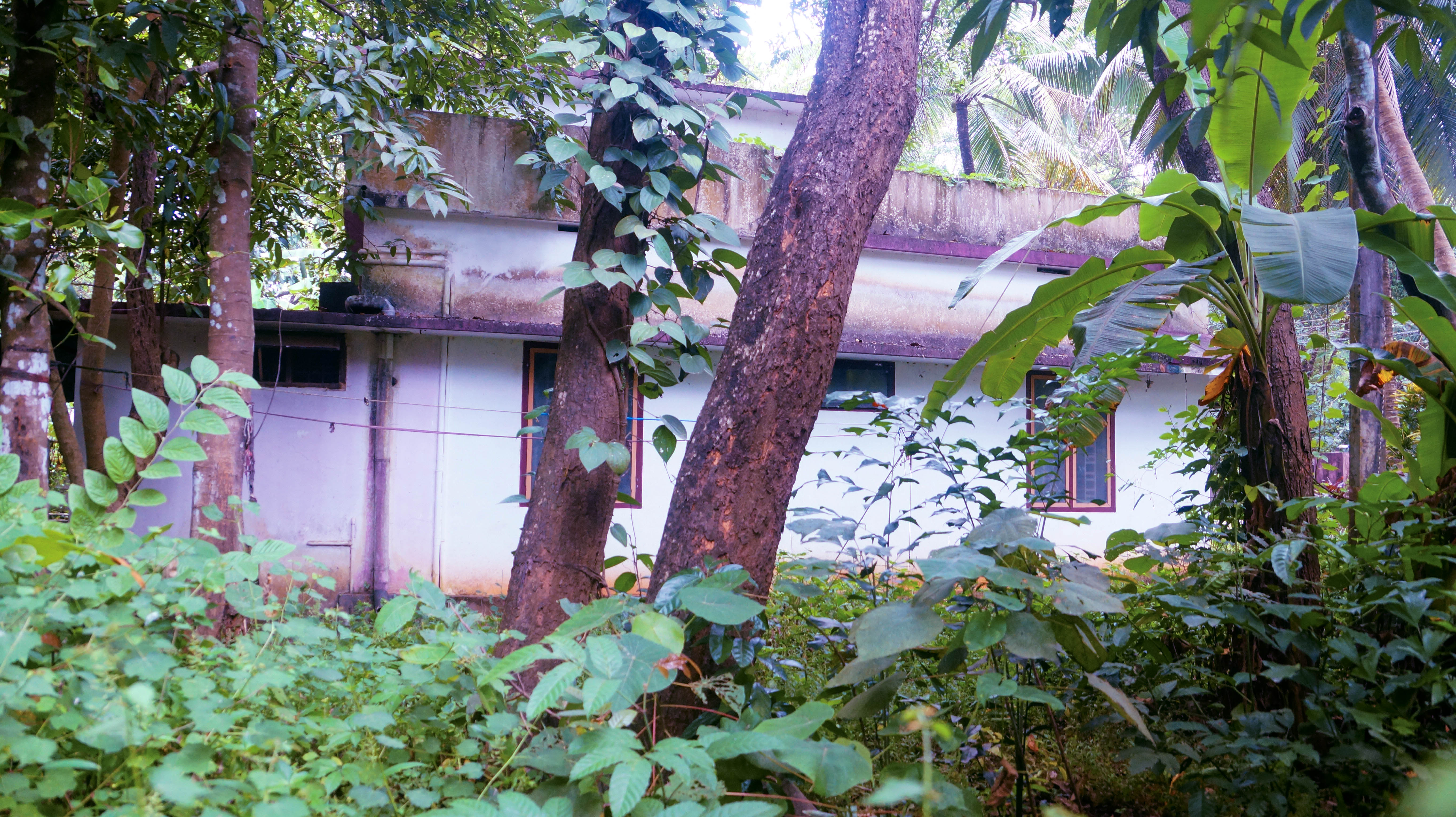 Individual House for sale in Alur — photo 22