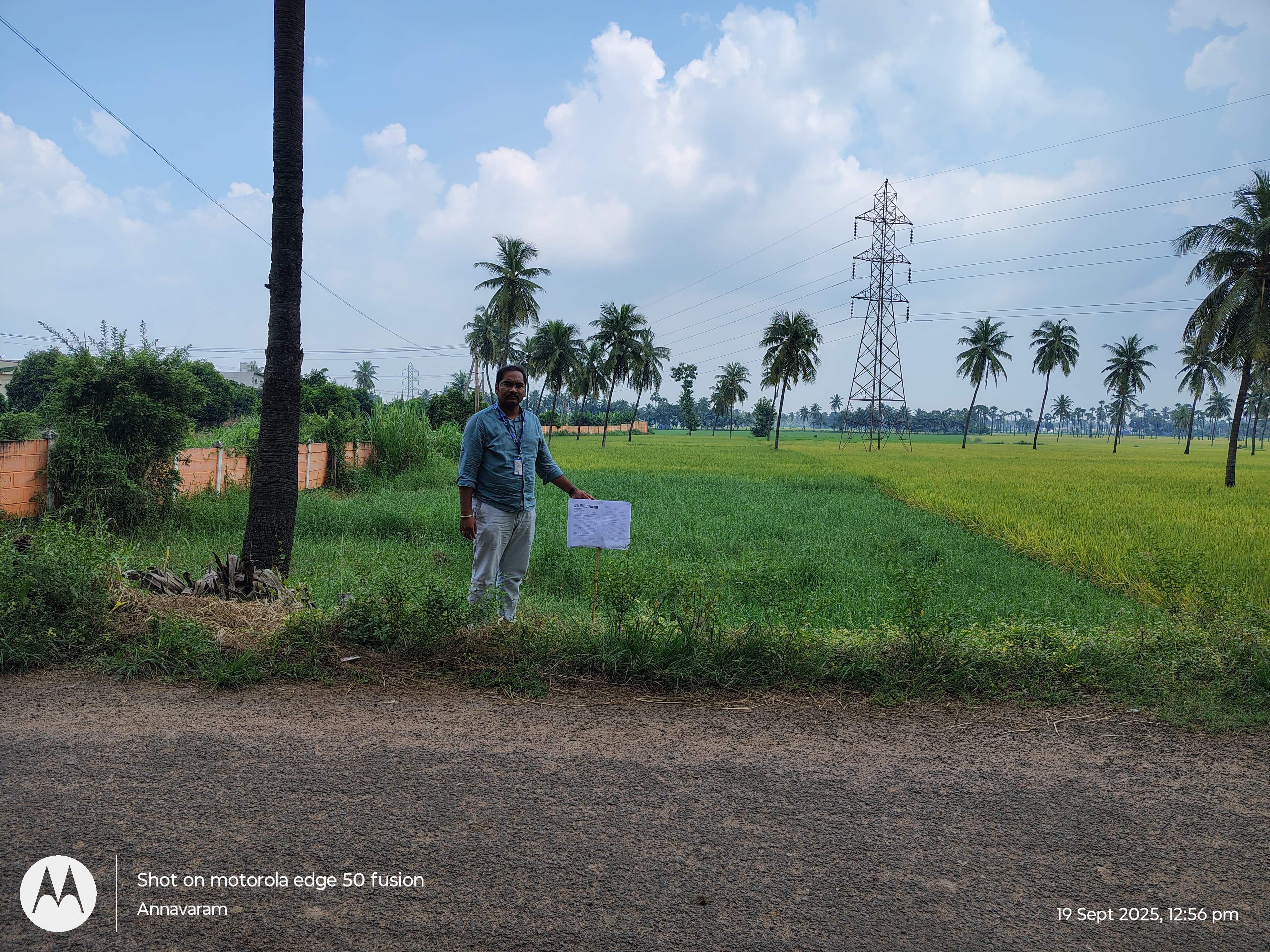 5324 square yard Plot for sale in Tadepalligudem