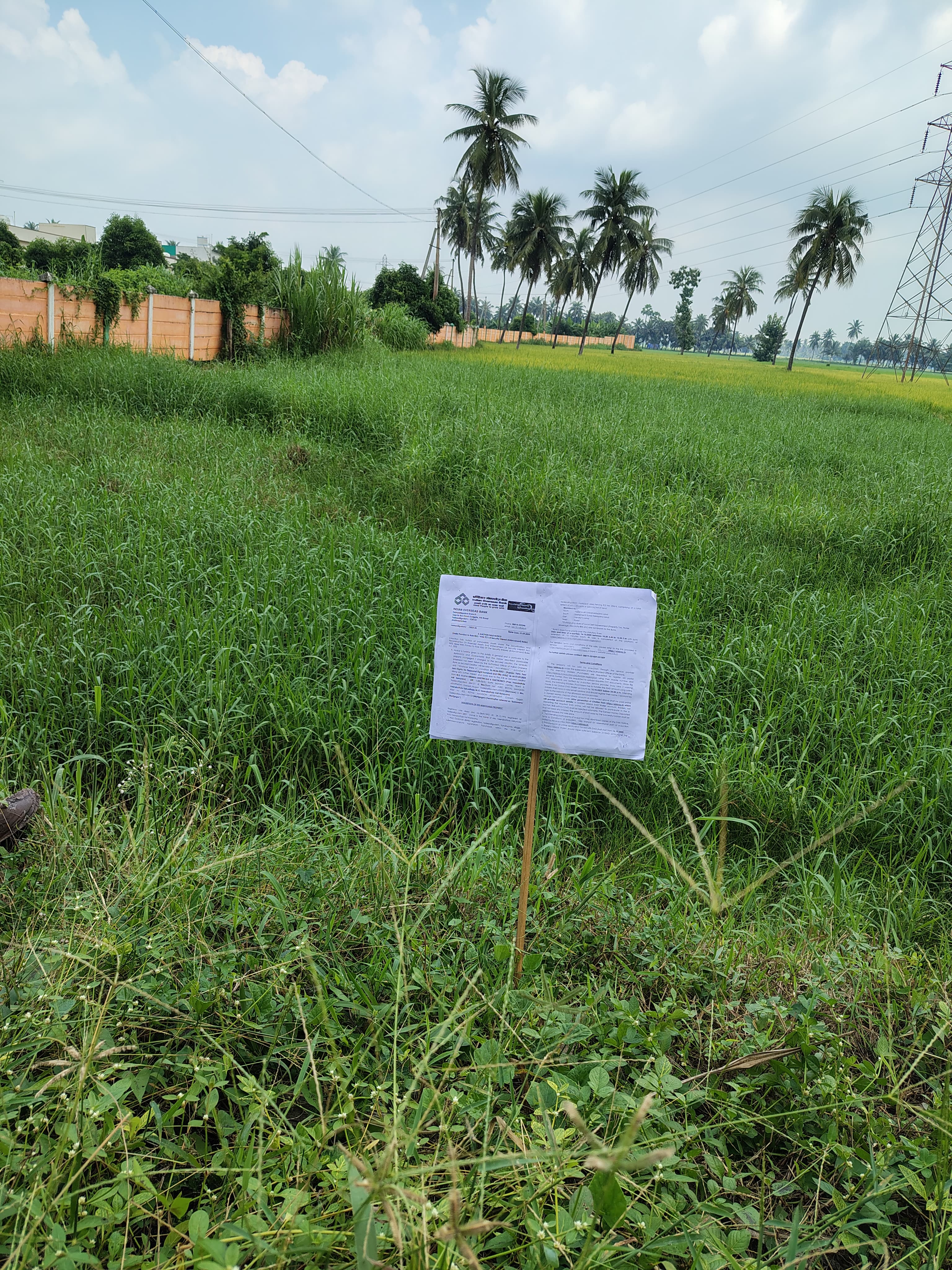 5324 square yard Plot for sale in Tadepalligudem — photo 4