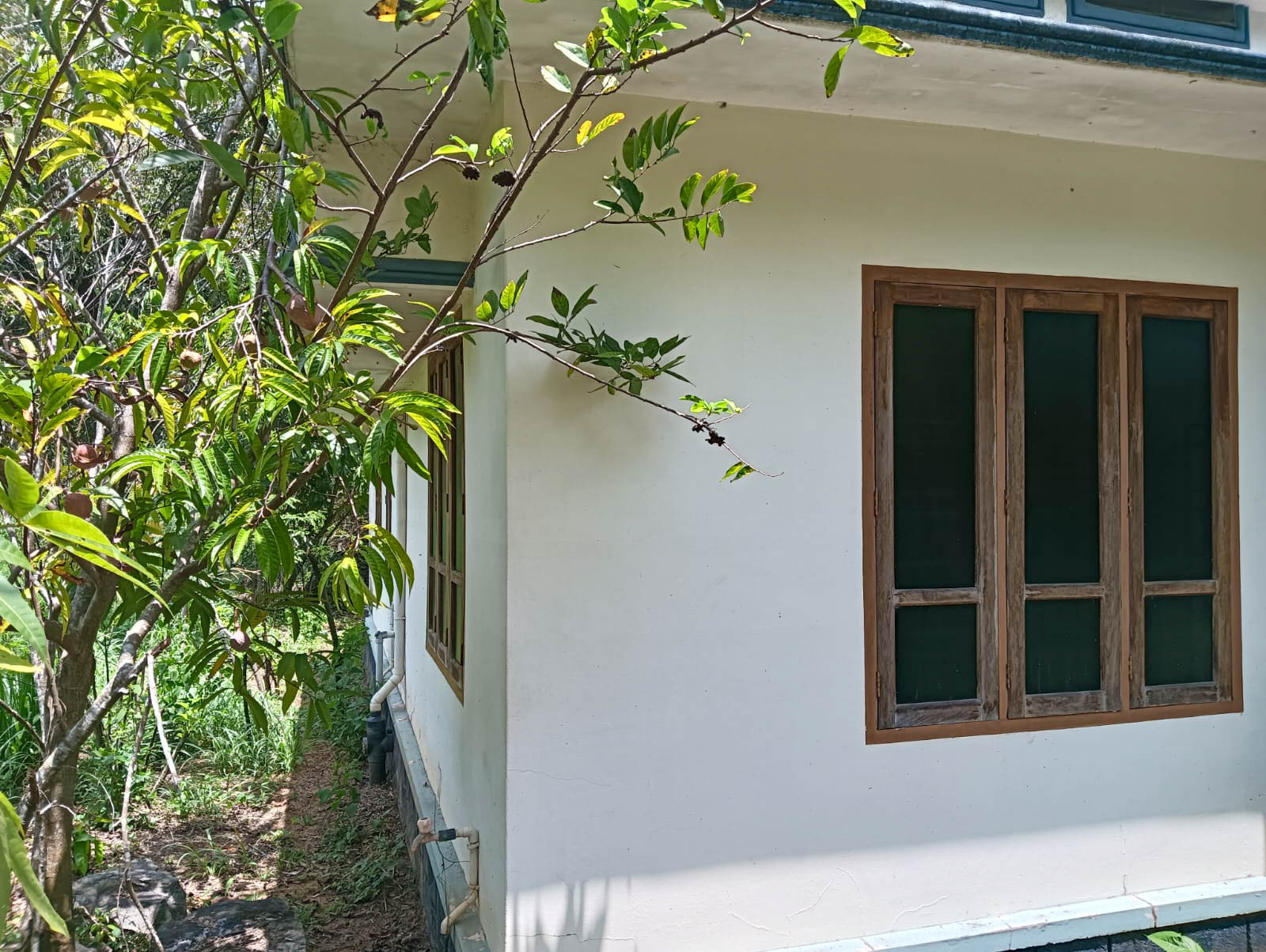 Individual House for sale in Adichanalloor — photo 8