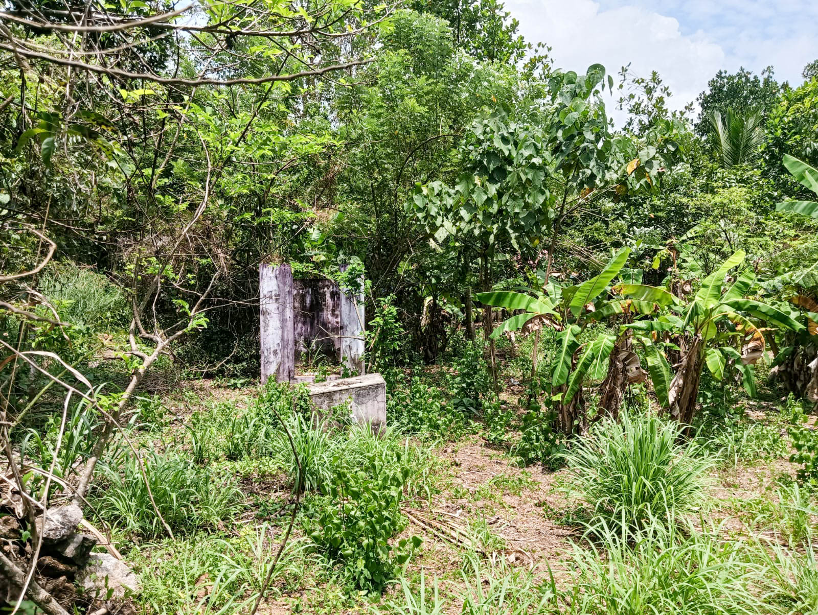 Individual House for sale in Adichanalloor — photo 6
