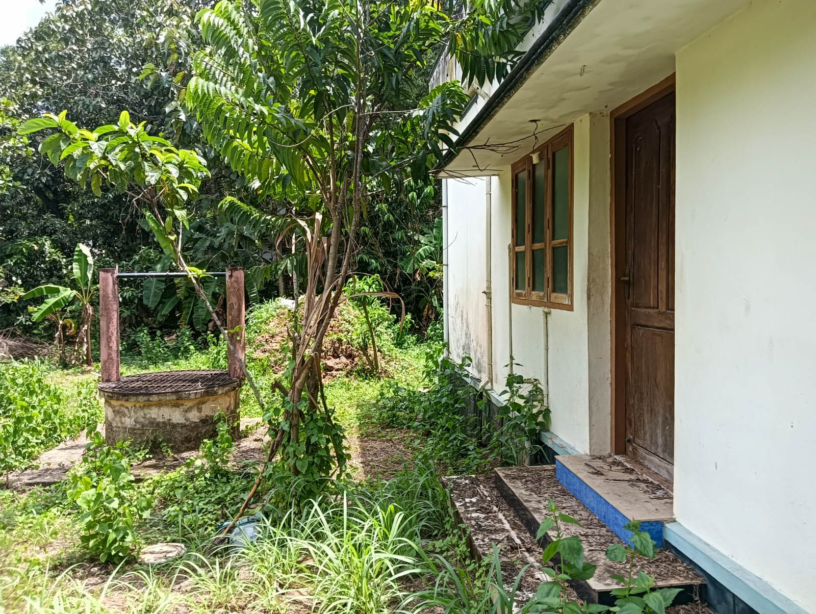 Individual House for sale in Adichanalloor — photo 13