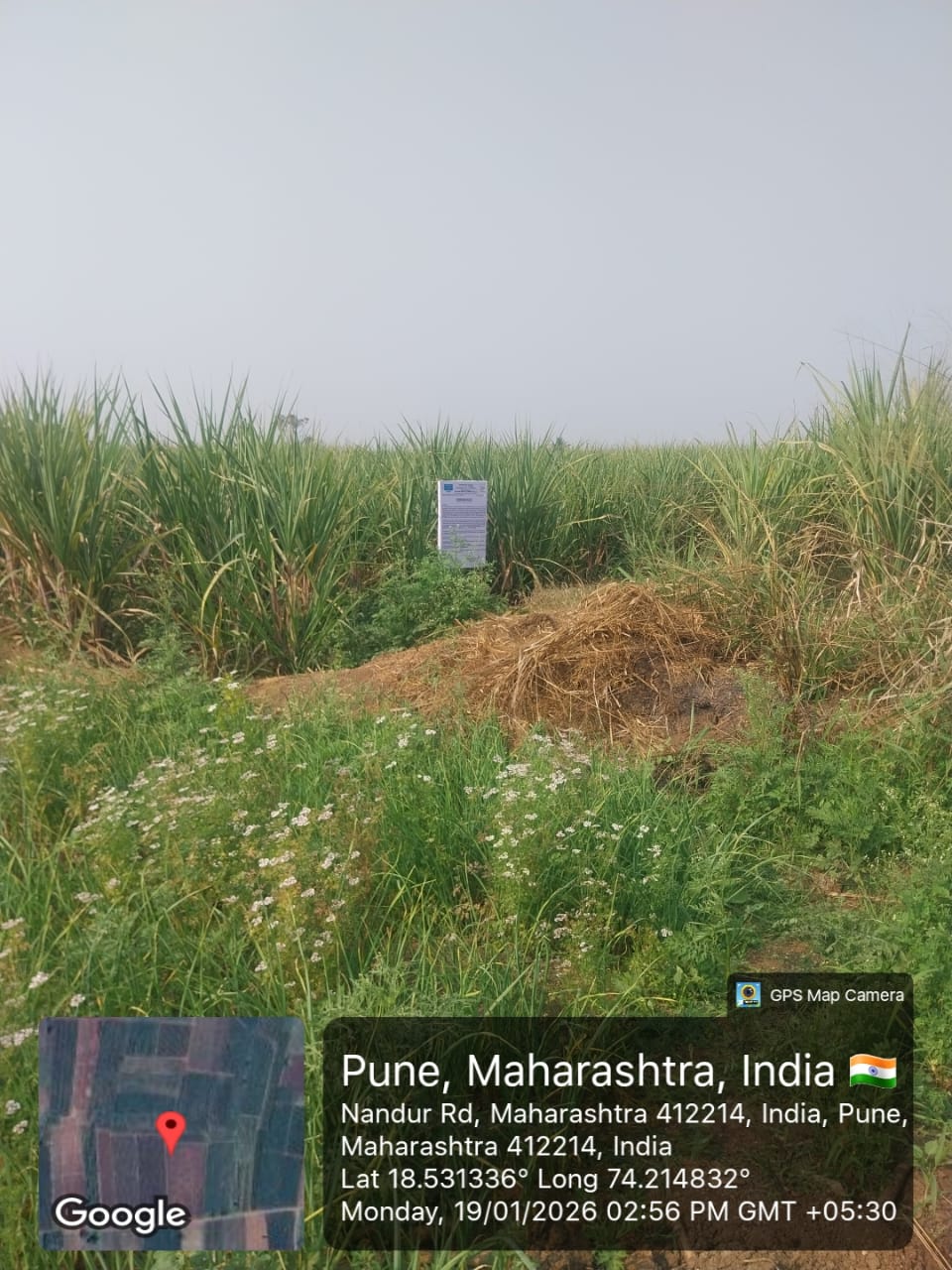 6600 square meter Plot for sale in Bhor — photo 1