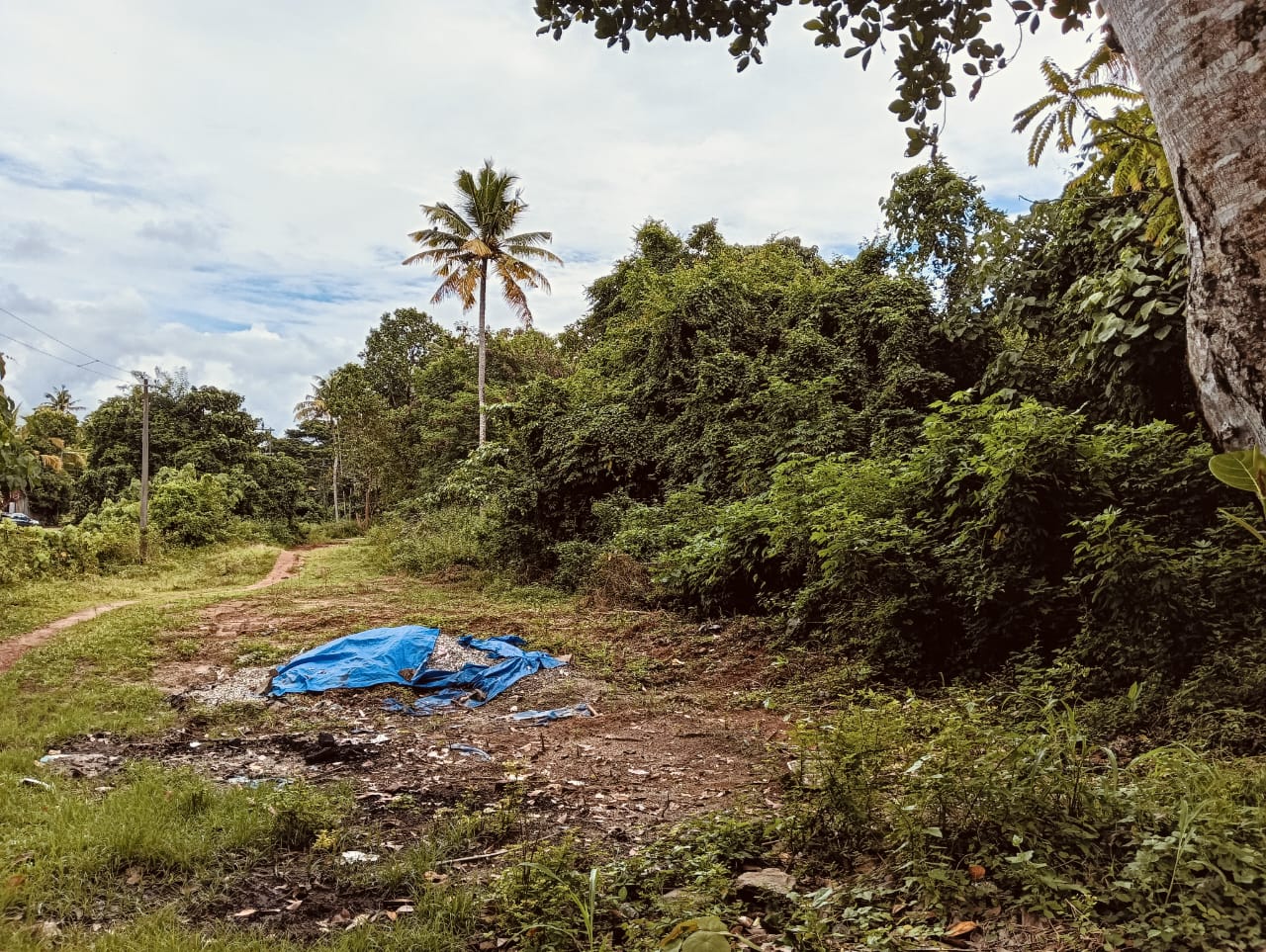 Plot for sale in Adichanalloor