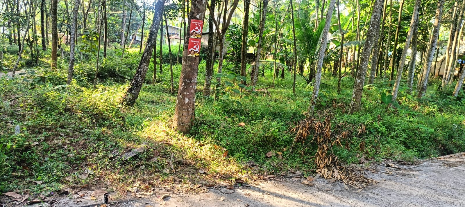 584 square meter Plot for sale in Thiruvananthapuram