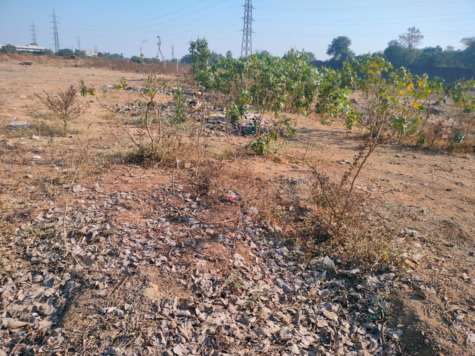 23565 square meter Plot for sale in Vapi Balitha — photo 2