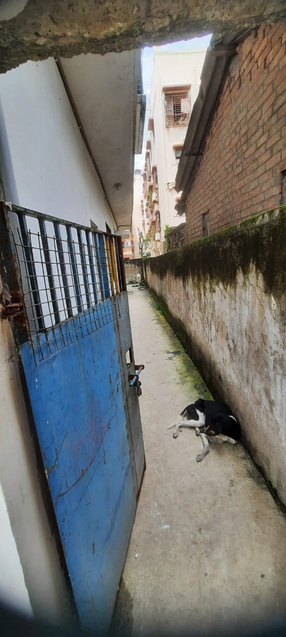2 BHK Flat for sale in MUKUNDAPUR DASPARA GREENLAND NEAR RN TAGORE HOSPITAL Kolkata — photo 6