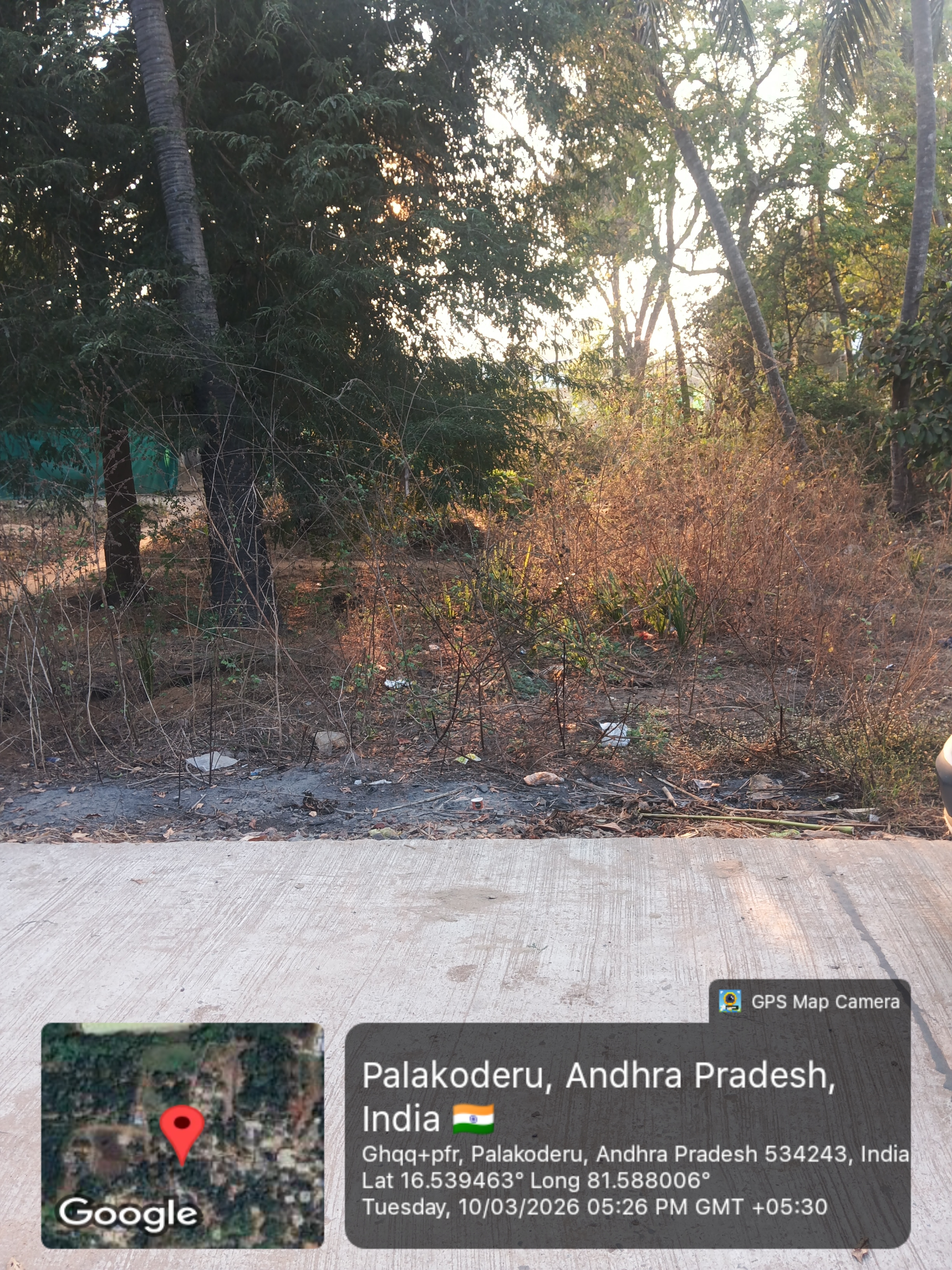 Plot for sale in Bhimavaram