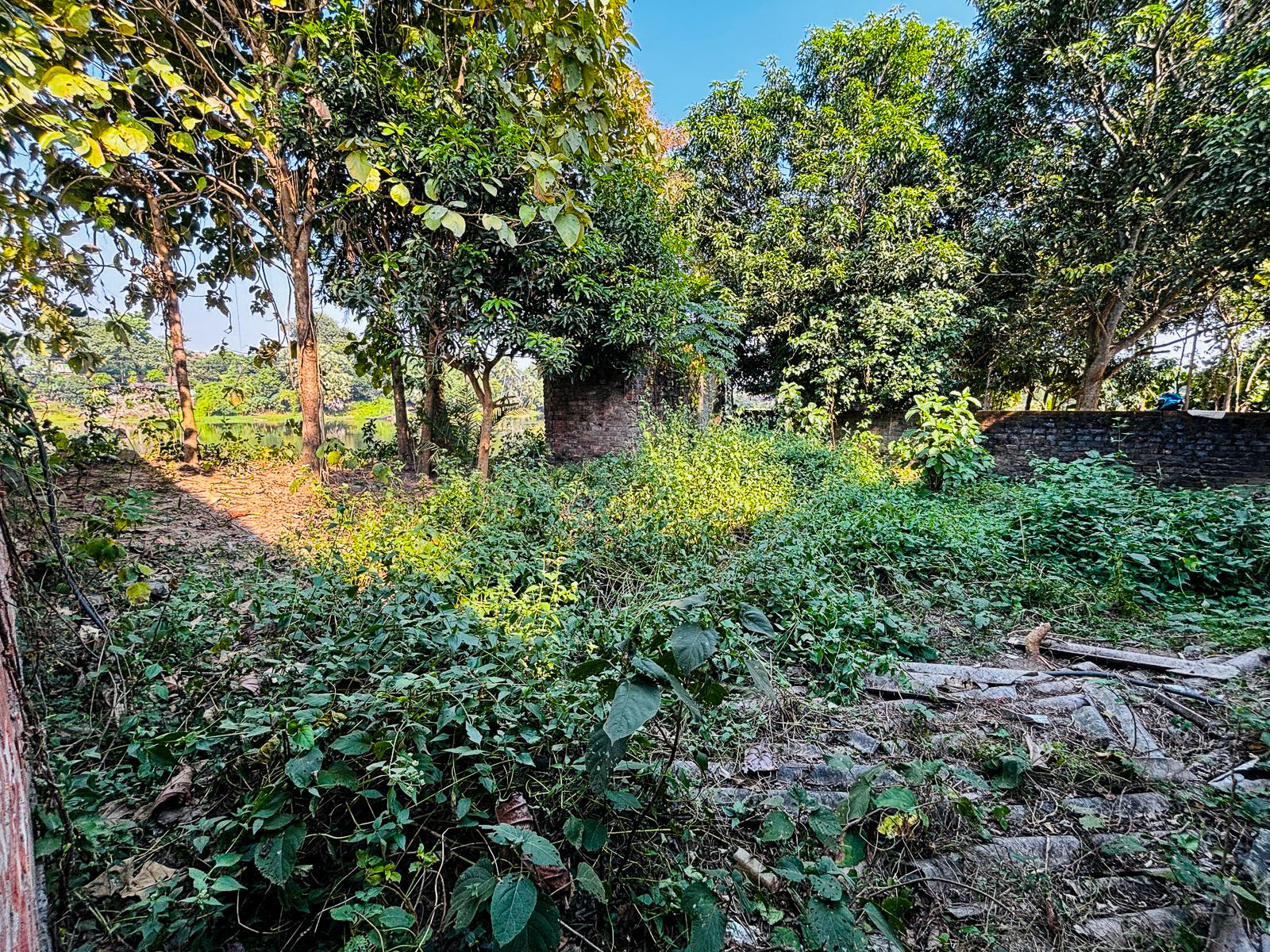 Godowns for sale in AKNA GRAM PANCHAYET,, POLBA, HOOGHLY Bansberia — photo 15