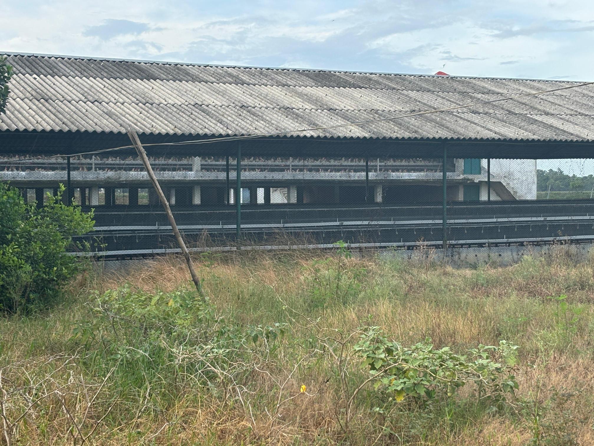 Office for sale in Kandi