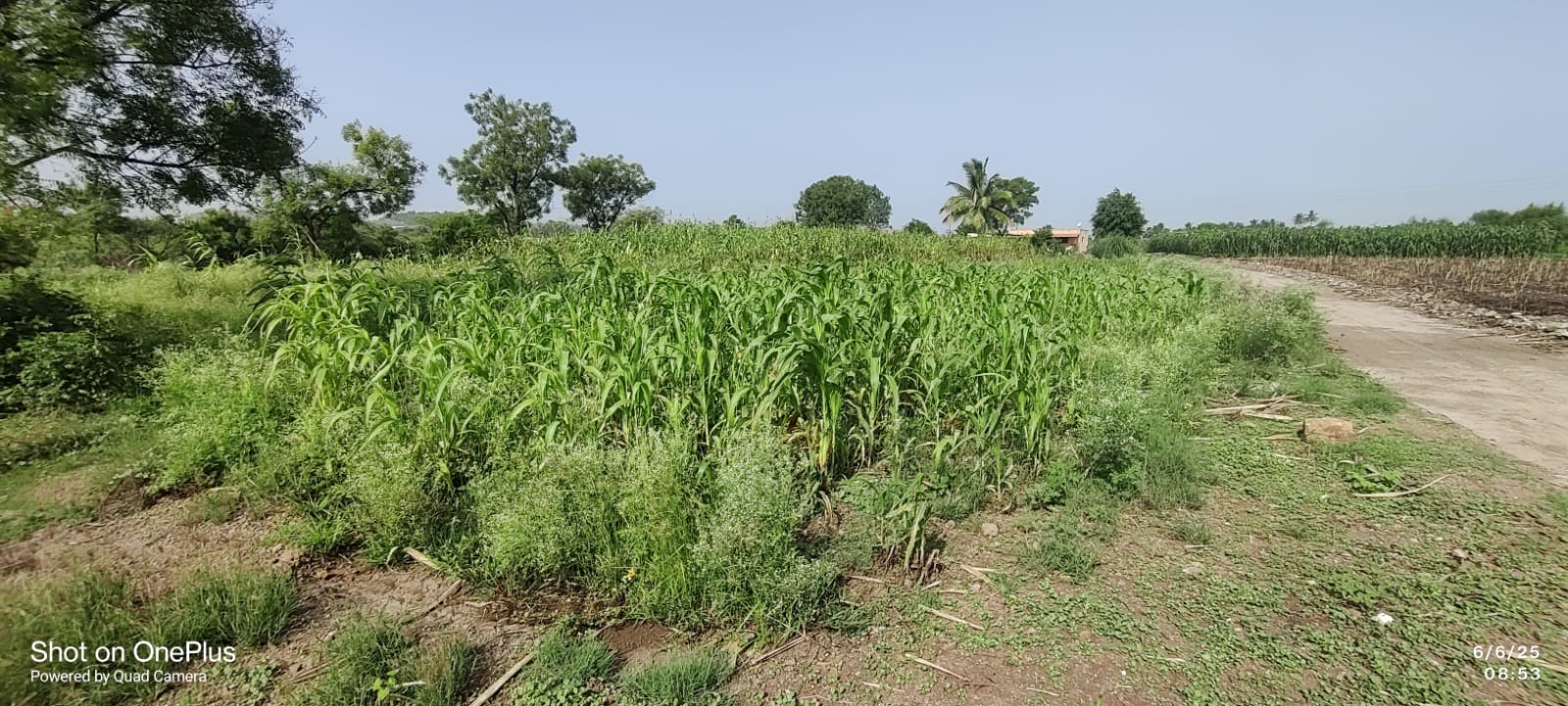 na land for transit godown for sale in Daund