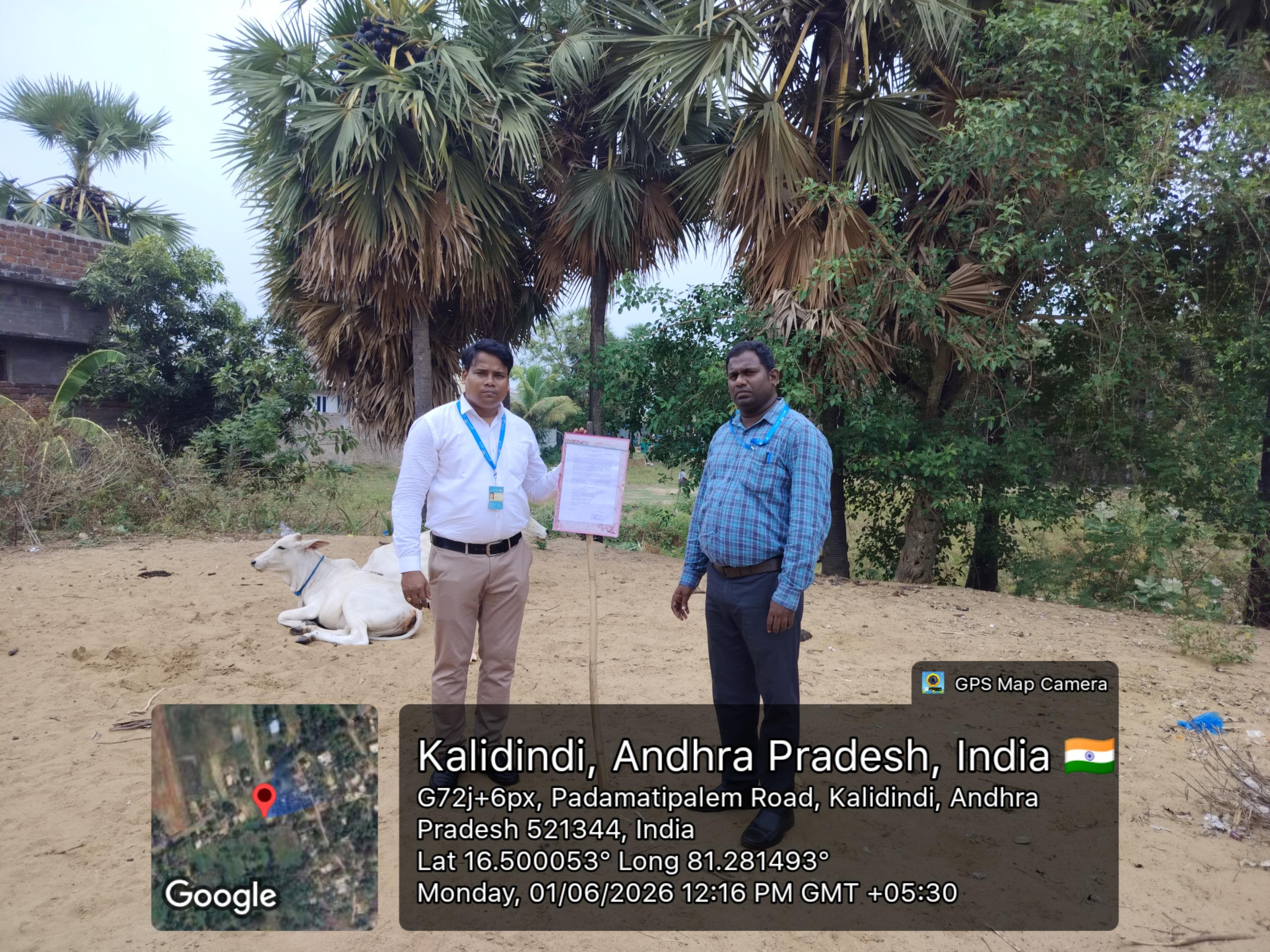 532.4 square yard Plot for sale in KALDINDI Bhimavaram