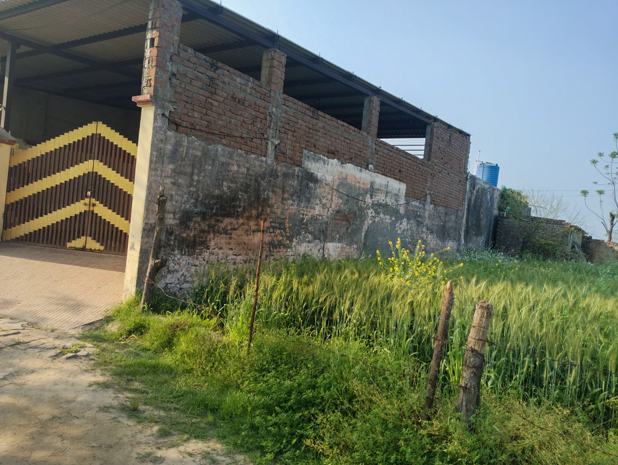 300 square yard Individual House for sale in Village Panjdhera, Tehsil Phillaur,Distt. Jalandhar Phillaur — photo 6