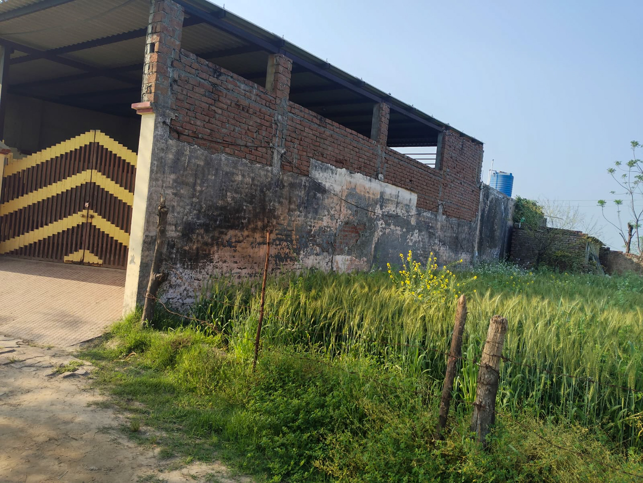 300 square yard Individual House for sale in Village Panjdhera, Tehsil Phillaur,Distt. Jalandhar Phillaur — photo 4