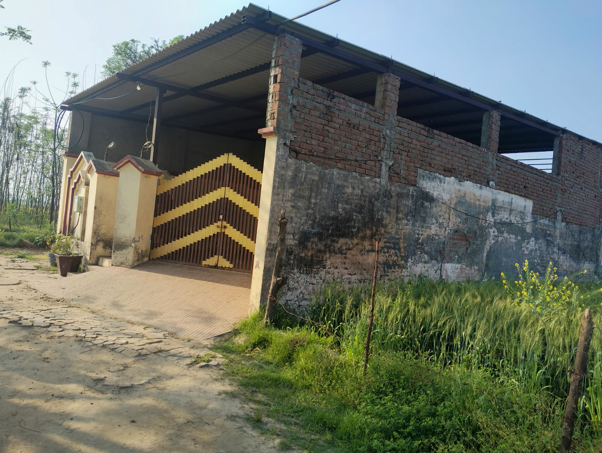 300 square yard Individual House for sale in Village Panjdhera, Tehsil Phillaur,Distt. Jalandhar Phillaur — photo 5
