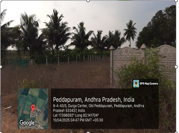 214 square yard Plot for sale in PEDDAPURAM Peddapuram