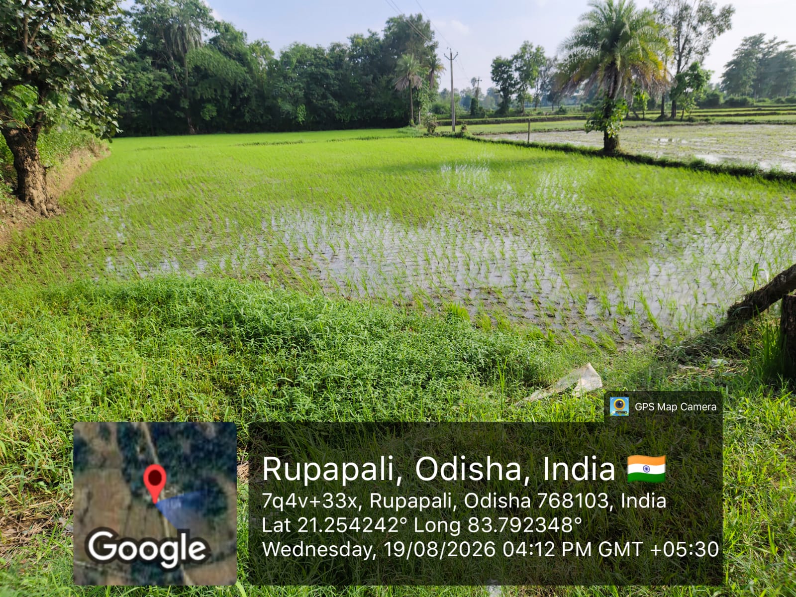 Plot for sale in RUPAPALI BHEDEN BARGARH Bargarh