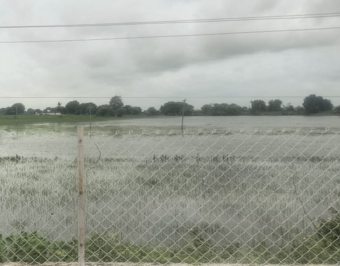 3608 square yard Plot for sale in Ganneru Varam Karimnagar