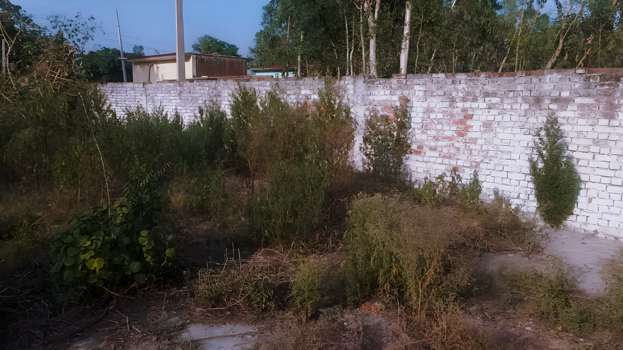 7460 square meter Godowns for sale in Katra — photo 12