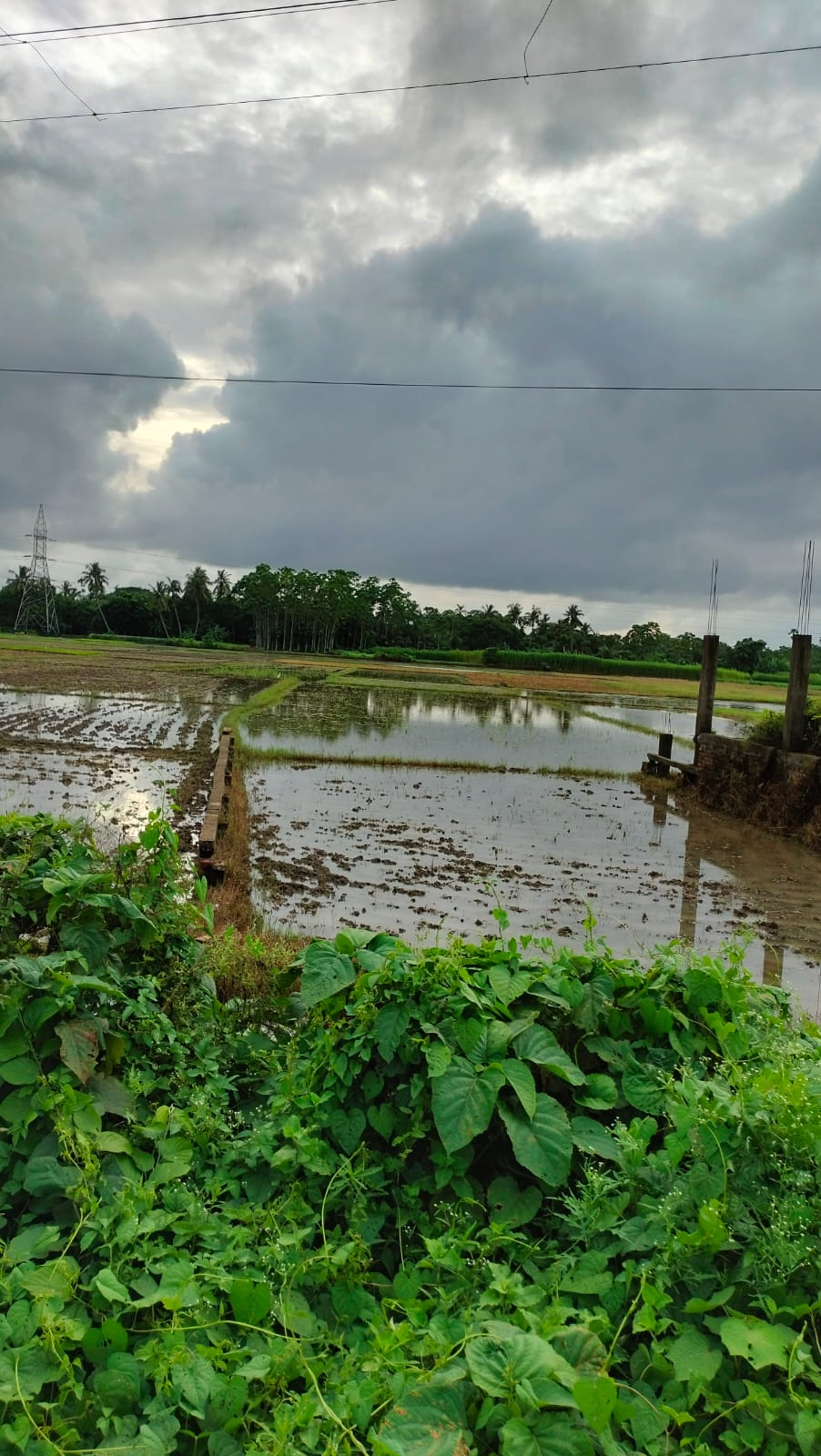 DANGA for sale in Mouza- Rampur, Sohaihat, North 24 Parganas Bira