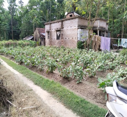 Individual House for sale in Baduria Baduria — photo 3
