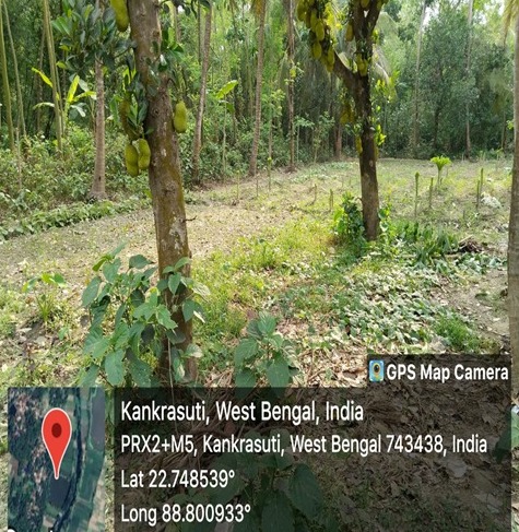 Individual House for sale in Baduria Baduria — photo 4