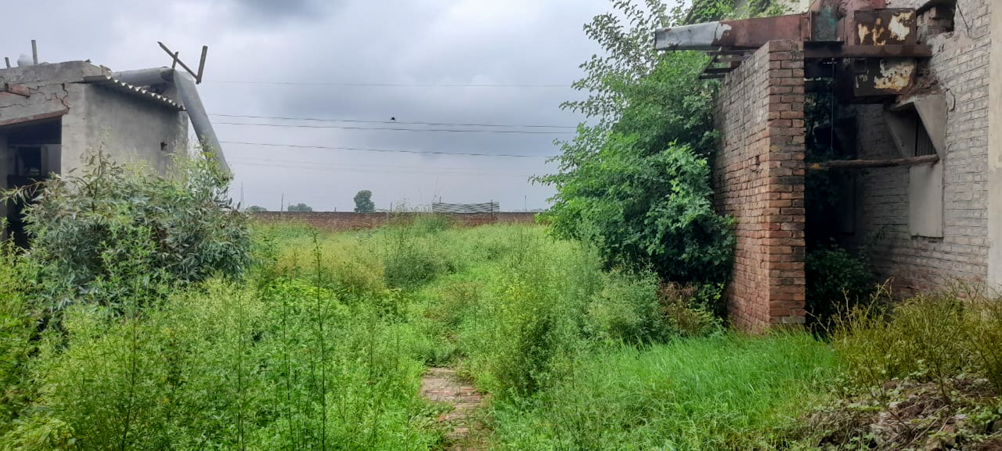 Industrial Plot with Factory Building for sale in Jalalabad — photo 12