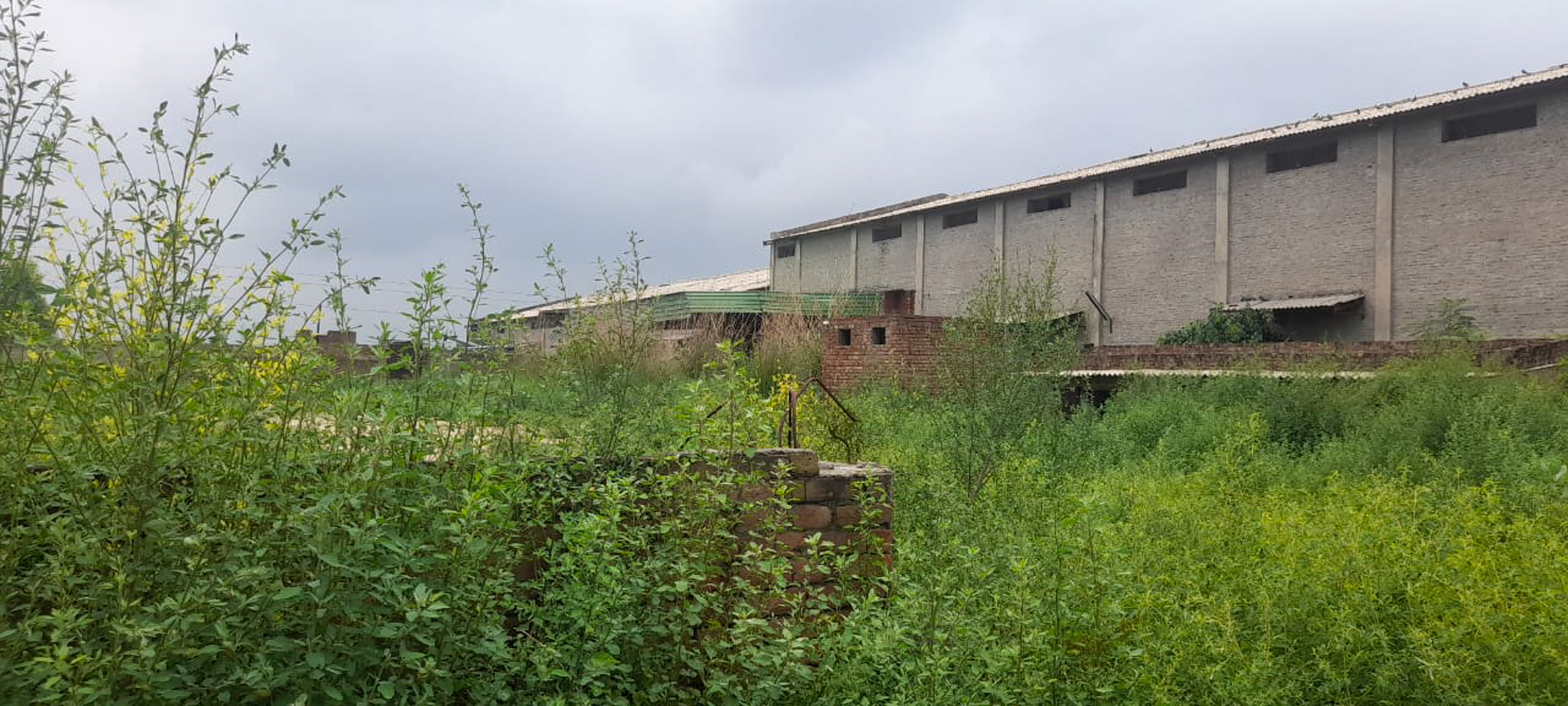 Industrial Plot with Factory Building for sale in Jalalabad — photo 2