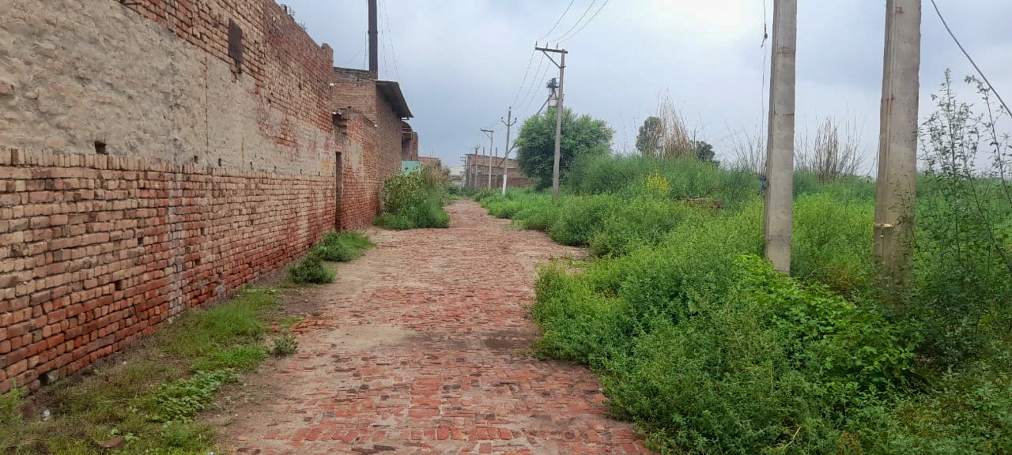 Industrial Plot with Factory Building for sale in Jalalabad — photo 4