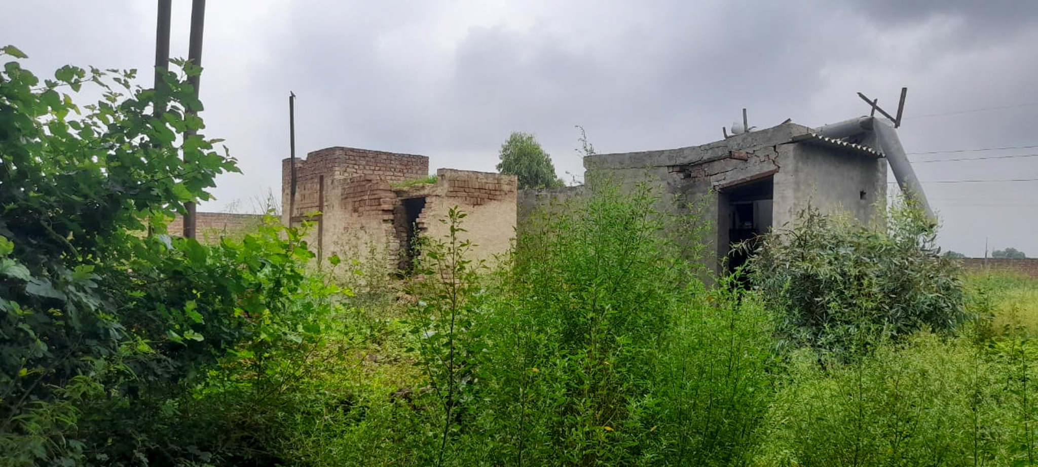 Industrial Plot with Factory Building for sale in Jalalabad — photo 7