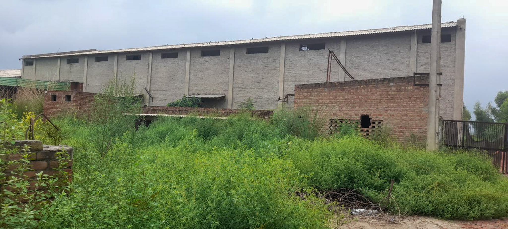 Industrial Plot with Factory Building for sale in Jalalabad — photo 5