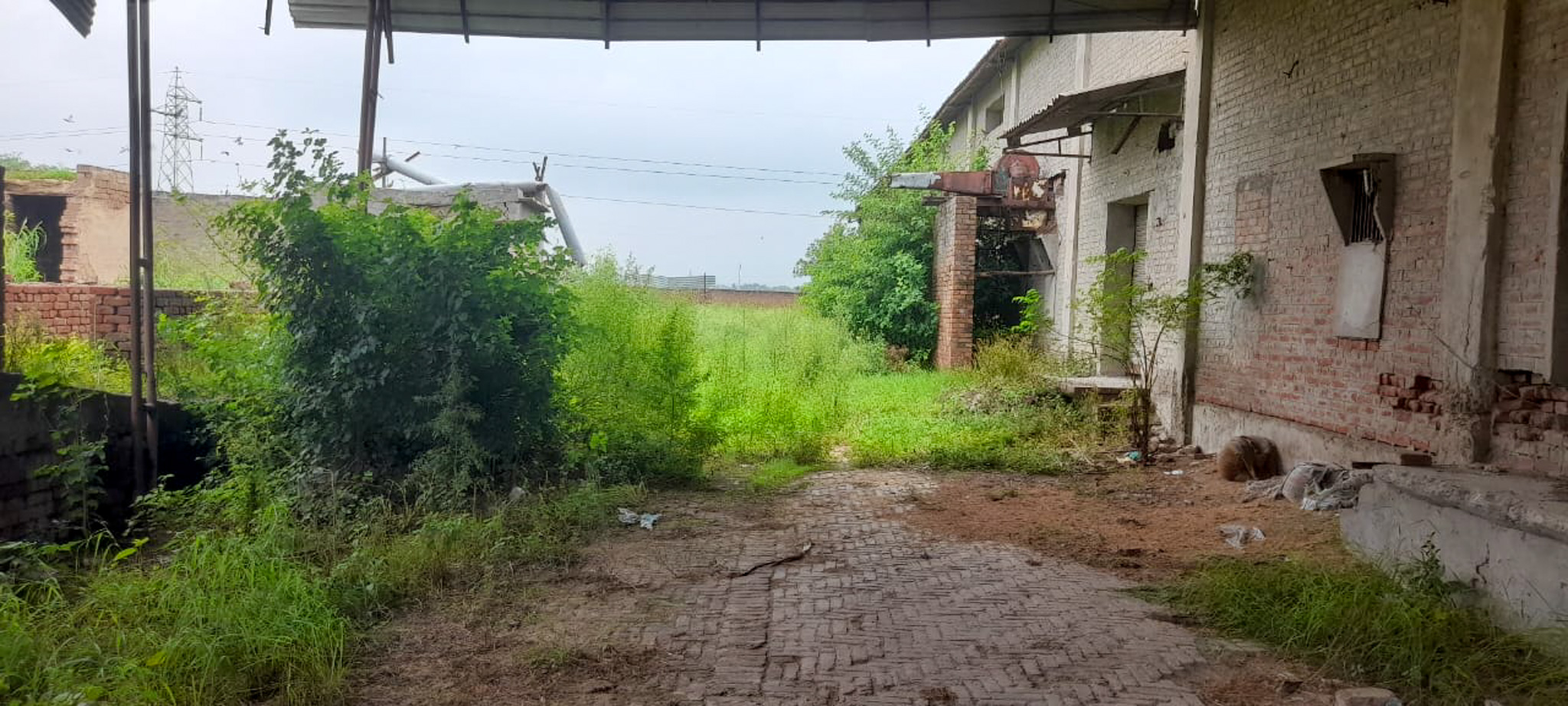 Industrial Plot with Factory Building for sale in Jalalabad — photo 11