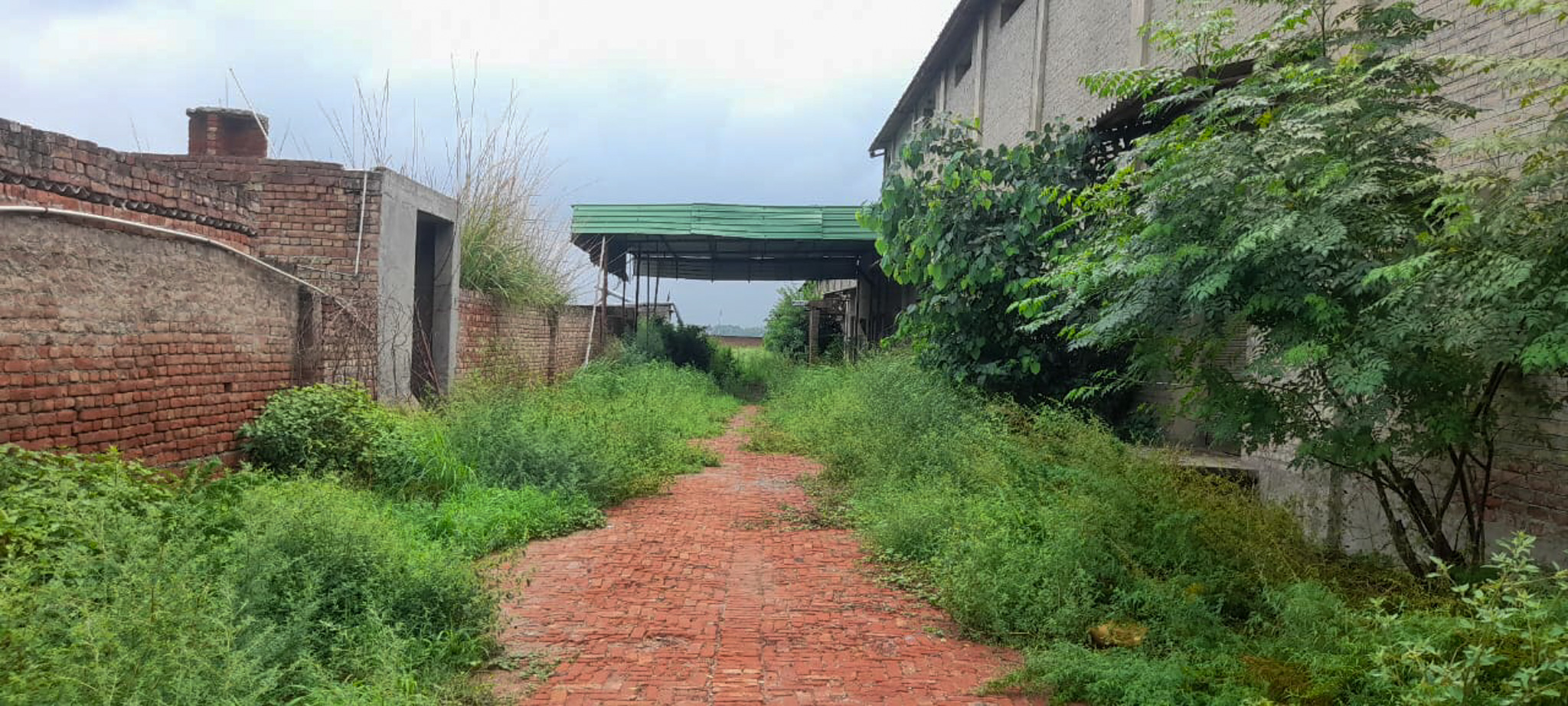 Industrial Plot with Factory Building for sale in Jalalabad — photo 15