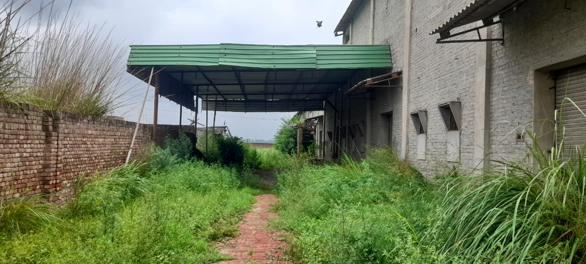 Industrial Plot with Factory Building for sale in Jalalabad — photo 17