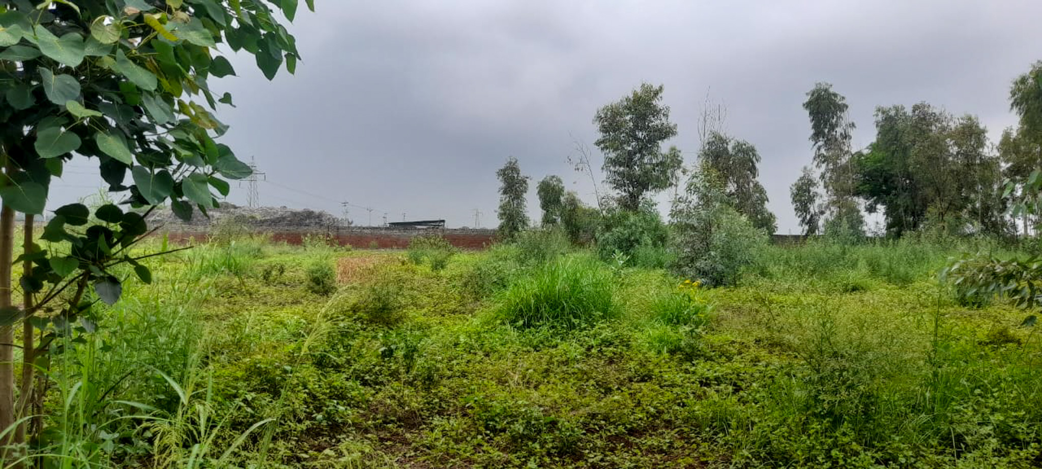 Industrial Plot with Factory Building for sale in Jalalabad — photo 16