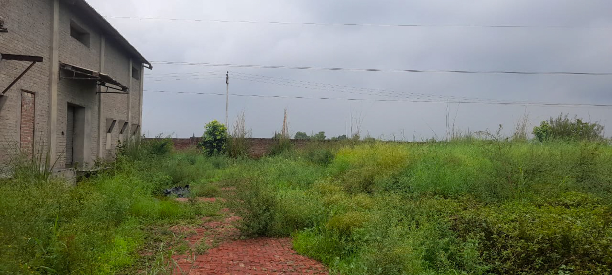 Industrial Plot with Factory Building for sale in Jalalabad — photo 19