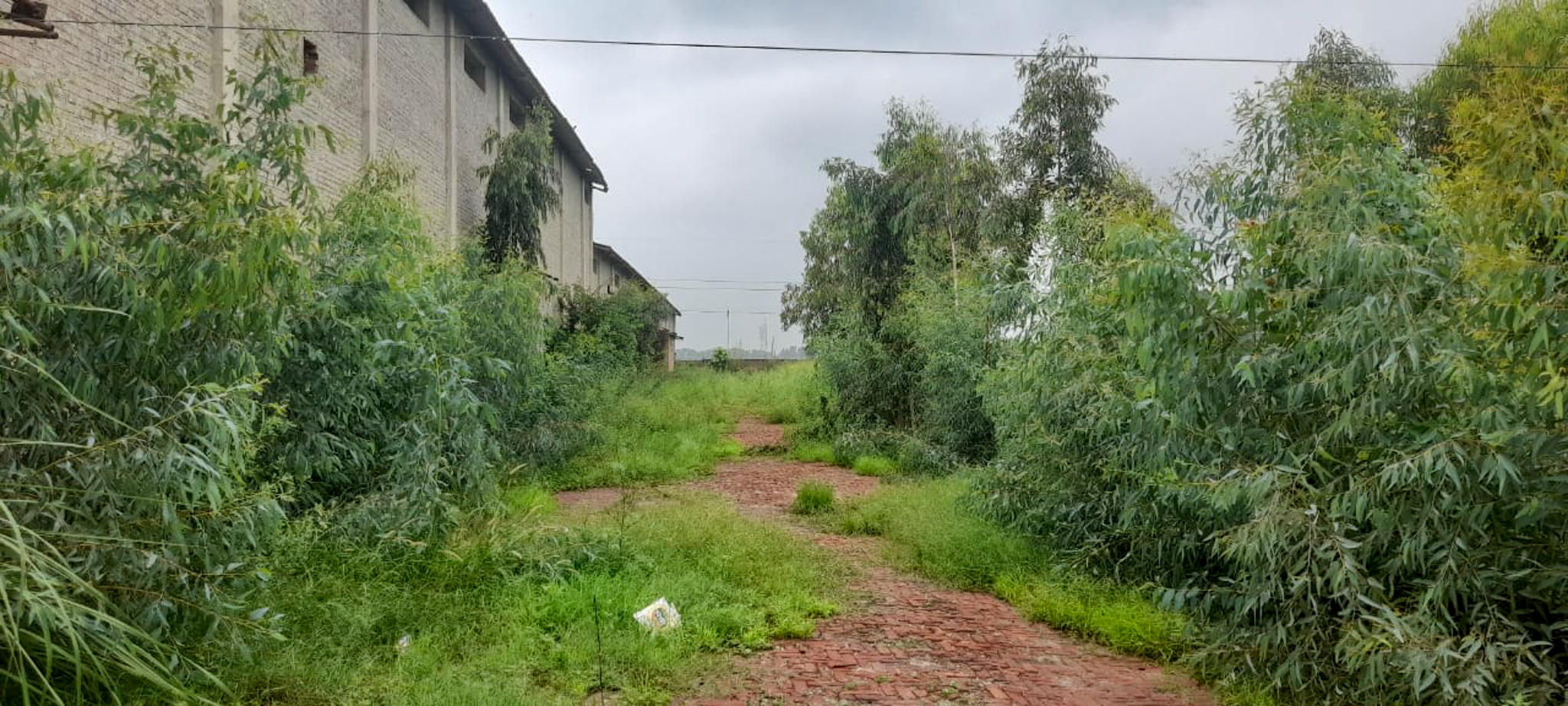 Industrial Plot with Factory Building for sale in Jalalabad — photo 24
