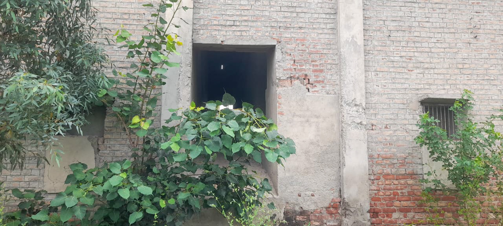 Industrial Plot with Factory Building for sale in Jalalabad — photo 22