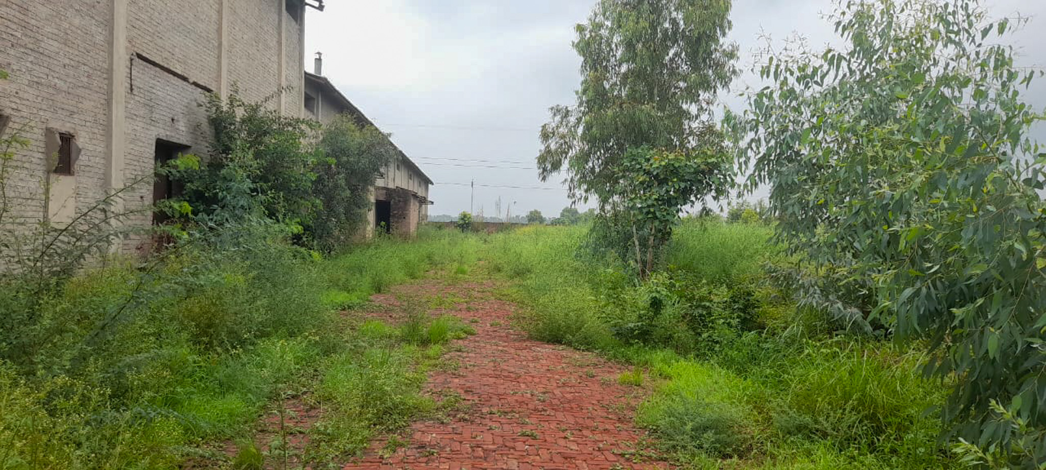 Industrial Plot with Factory Building for sale in Jalalabad — photo 26