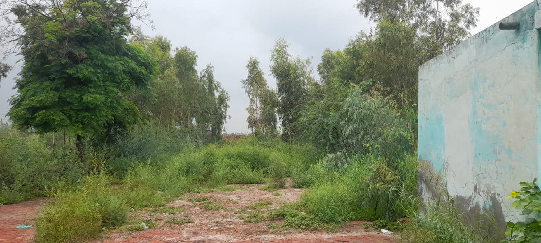 Industrial Plot with Factory Building for sale in Jalalabad — photo 25
