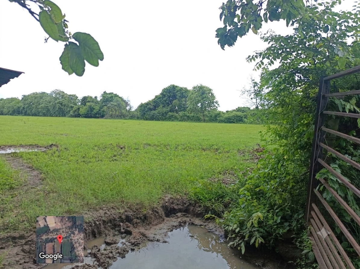 10737 square meter Agriculture Land for sale in Vaghodia